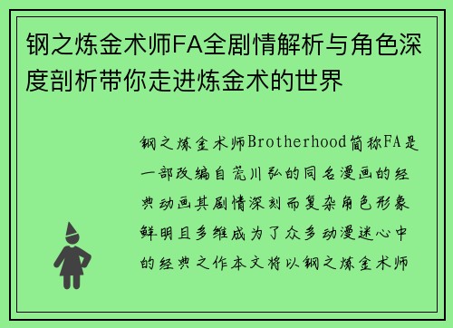 钢之炼金术师FA全剧情解析与角色深度剖析带你走进炼金术的世界
